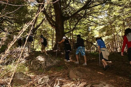 Colorado Hill Trekking Tour from San Martin de los Andes