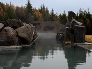 Birki - Standard entry, photo 9