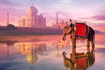 Full-Day Taj Mahal Sunrise Excursion from Delhi