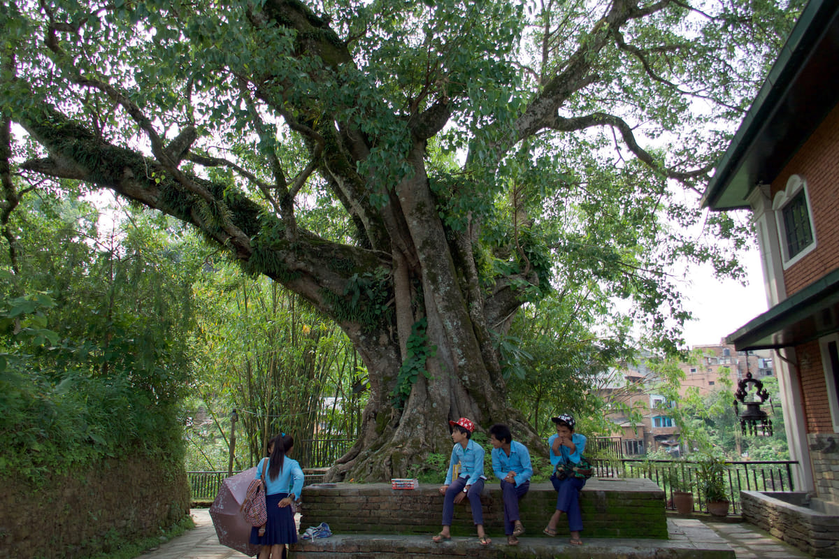 19 Days Mera Peak Climbing & Expedition – One Life-Changing Himalayan Adventure