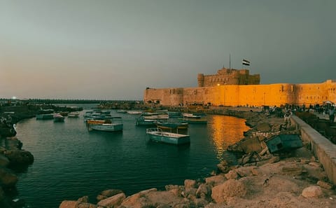Alexandria Cultural Day Tour with Expert Guide