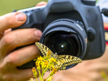 Zanzibar: Step into a Zanzibar’s Butterfly Haven