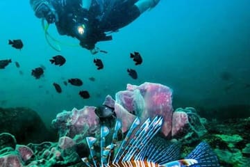 Scuba Diving in Pasikudah