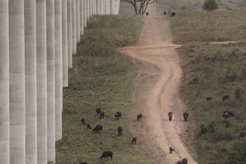 Nairobi National Park Full Day Adventure Tour
