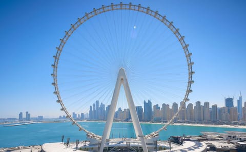 Private Dubai City Tour with Museum of the Future Visit
