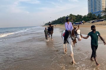 Private Horse Riding in Mount Lavinia