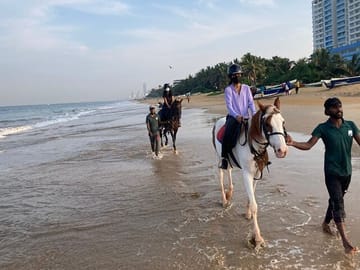 Private Horseback Riding Experience in Mount Lavinia