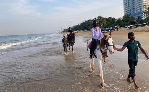 Private Horseback Riding Experience in Mount Lavinia