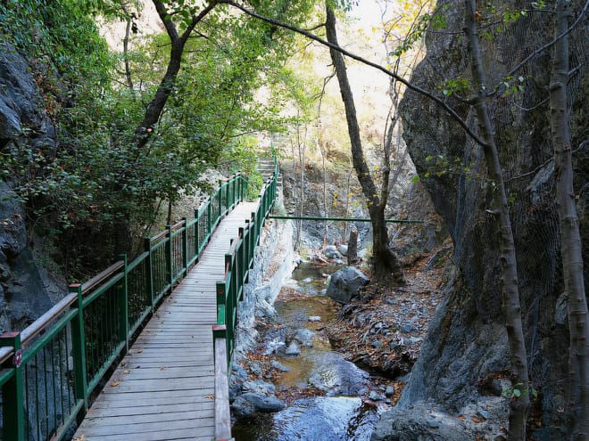Paphos: Scenic Troodos Mountains Tour with Wine Tasting 10