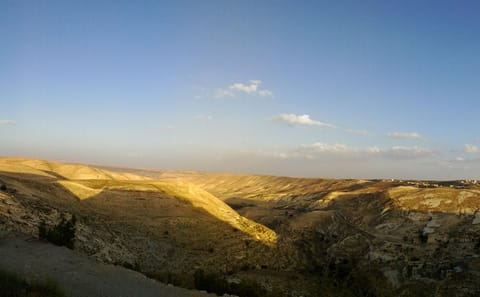 Private Day Tour of Karak and Shobak Castles from Amman