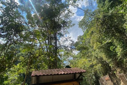 Oxa-03 : Rio Tigre – Amazon Waters and Jungle Secrets