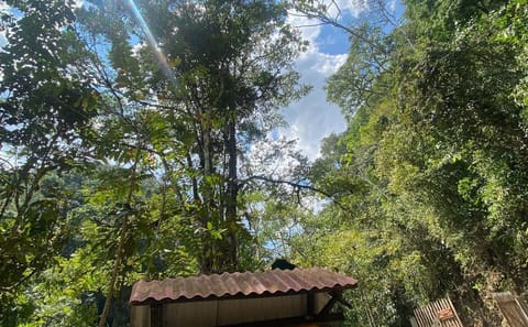 Amazon Jungle Adventure Tour in Oxapampa, Peru