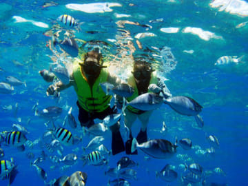 Snorkeling Adventure at Sharm El Naga Bay from Hurghada