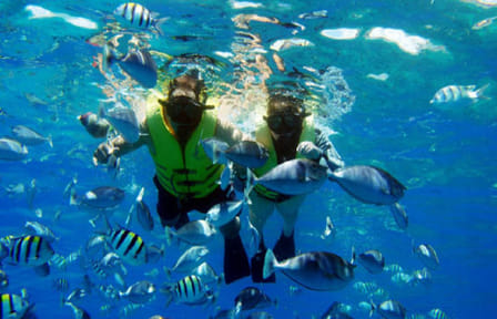 Snorkeling Adventure at Sharm El Naga Bay from Hurghada