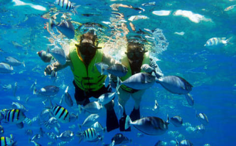 Snorkeling Adventure at Sharm El Naga Bay from Hurghada