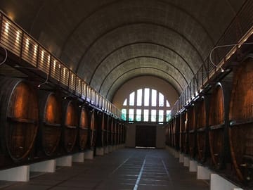 Wine Cellar in Paarl