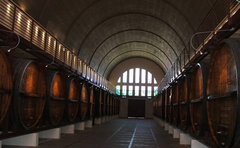 Private Cape Winelands Tour from Stellenbosch, Franschhoek, or Paarl