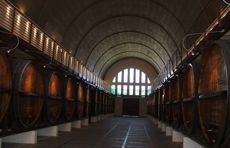 Private Cape Winelands Tour from Stellenbosch, Franschhoek, or Paarl