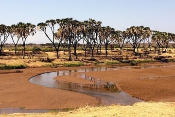 6 Days Samburu Sweetwaters Lake Nakuru and Lake Naivasha Tour