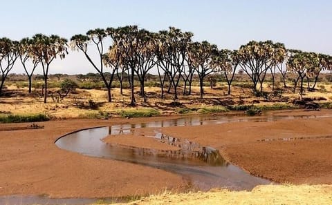 6-Day Adventure Tour of Samburu, Sweetwaters, and Naivasha