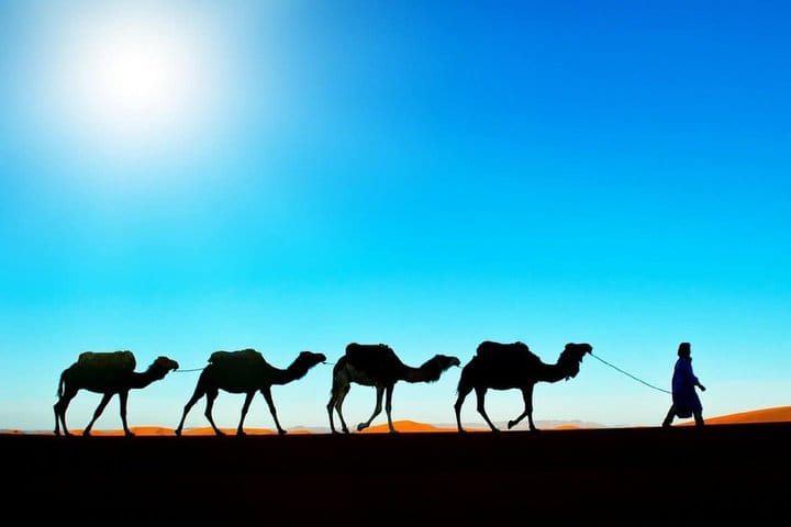 Merzouga Dunes Sunset Camel Ride in Morocco