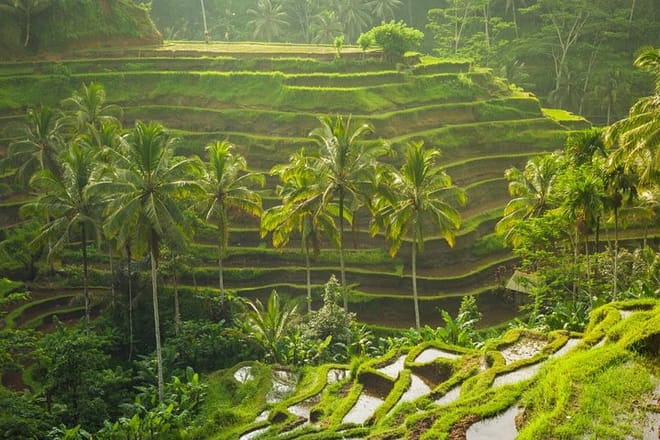 Ubud Tirta Empul Blissful Cleansing 10