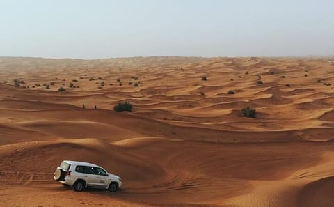 Private Quad Bike Adventure and Desert Safari in Jeddah