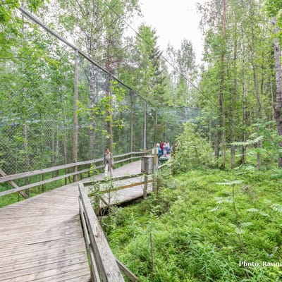 Retki Ranuan eläinpuistoon – Koe arktinen eläinmaailma ja näe Suomen ainoat jääkarhut - Image 7
