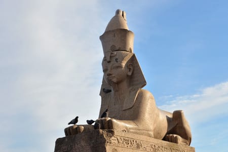 Private Cairo Tour: Pyramids of Giza, Sphinx, and Saqqara with Lunch