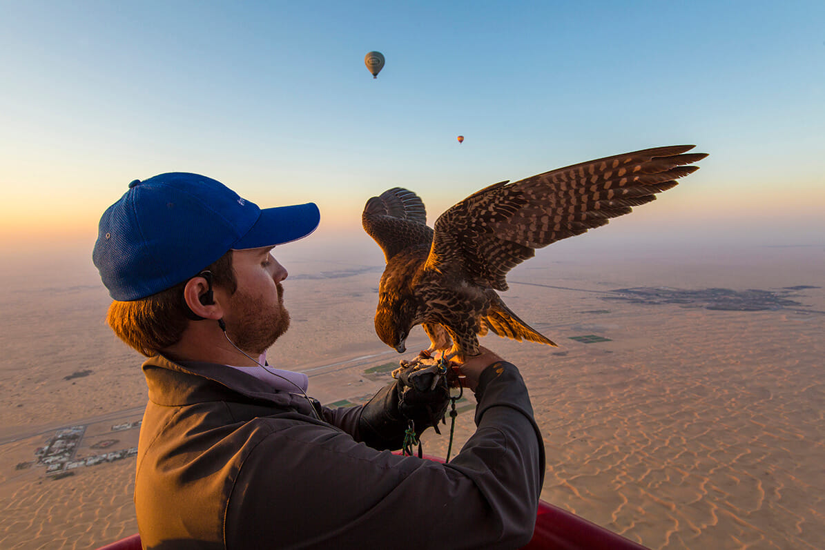 Hot Air Balloon Ride in Dubai with Falconry and Breakfast 2