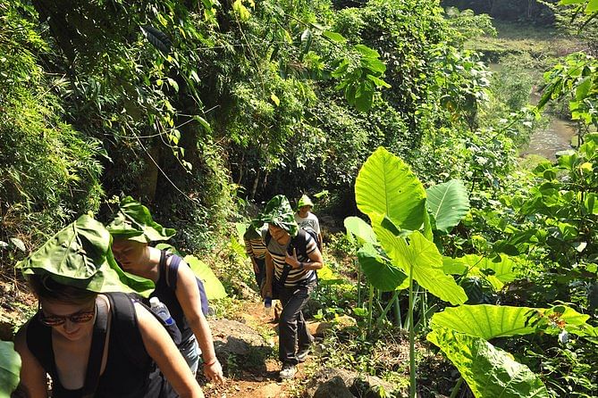 Jungle Trekking Adventure in Ba Be National Park: Explore Ethnic Villages