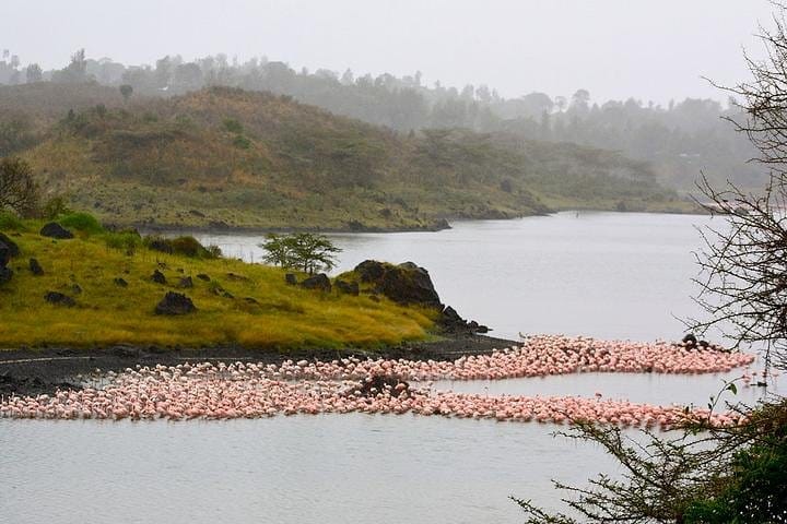 momella lake with flamingoes in Arusha national park