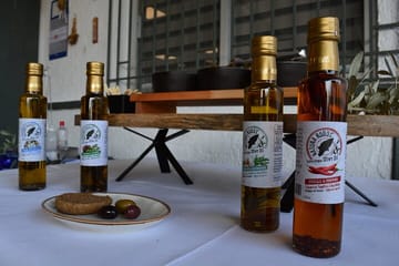 Olive Oil and Wine Tasting Tour in Paradisi, Greece