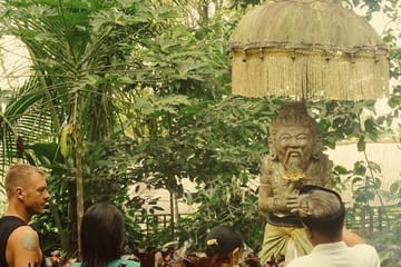 Bali Wellness and Culture Tour with Spa Experience