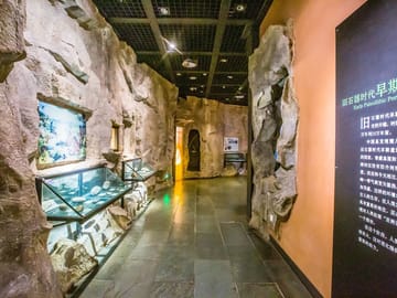 Chongqing China Three Gorges Museum Private VIP Guided Tour