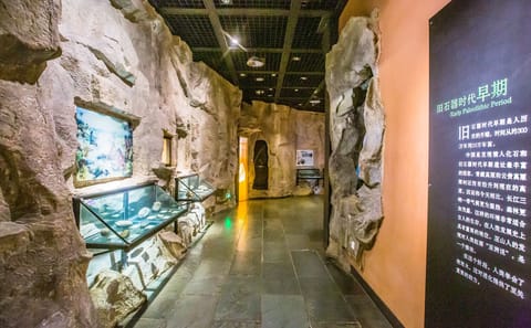 VIP Guided Tour of the Three Gorges Museum in Chongqing