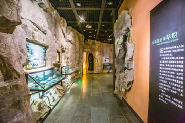 VIP Guided Tour of the Three Gorges Museum in Chongqing