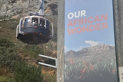 Table Mountain and Stellenbosch Wine Tasting Private Tour