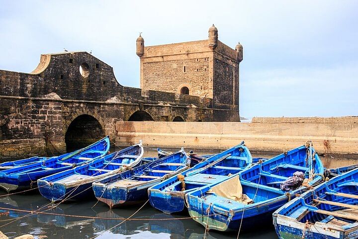 Essaouira Day Trip from Marrakech: Explore Historic Sites & Argan Trees