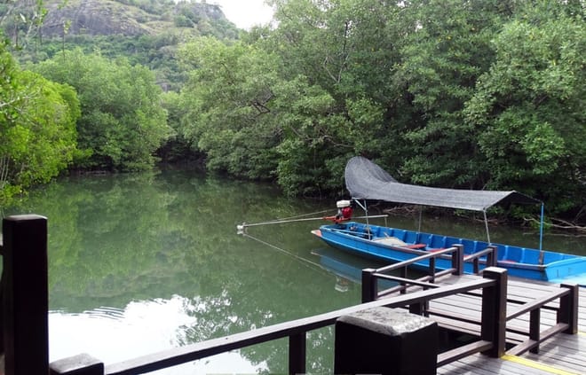 Mangrove Forest Park Nature Trail and River Boat Ride to Khao Daeng Mountain with Private Guide photo 5