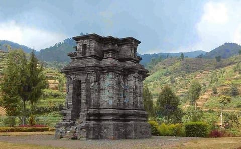 Dieng Plateau Sunrise and Borobudur Temple Tour