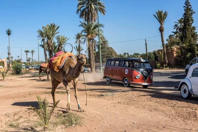 ½ Day : 1930’s Gentelman Vintage Car Ride & Camel Ride in Mythical Palm Groves | Private & Luxury 4