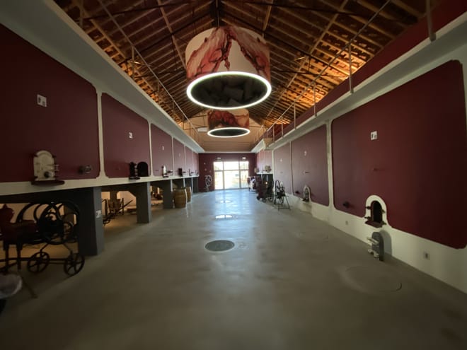 Lisbon's Northern Region Wine Tasting Private Tour 6