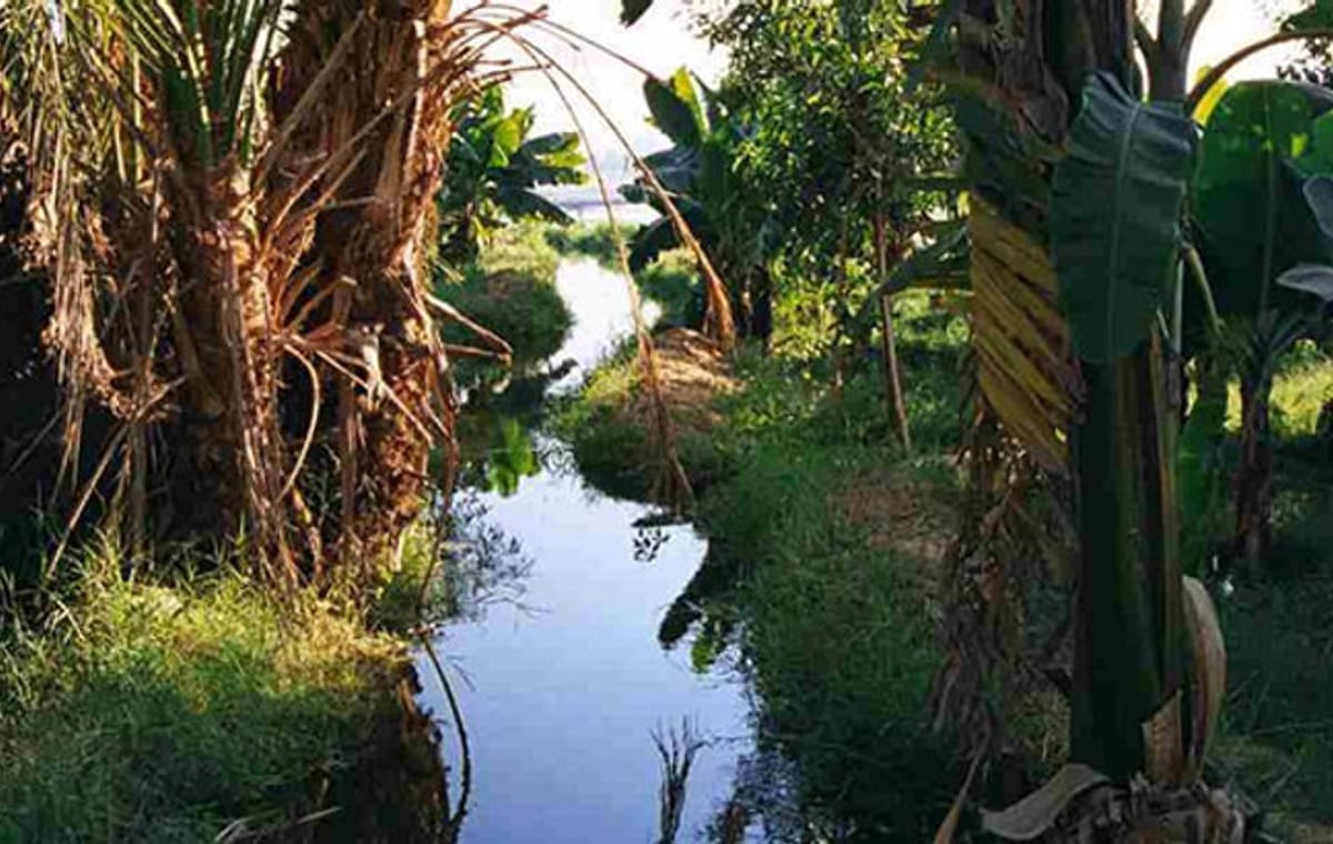 Fallucca Sailing Luxor & visit to Banana Island from Luxor