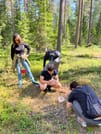 Enjoy the forest and find fascinating mushrooms!