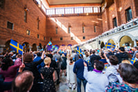 Private VIP Stockholm City Tour – Car, Guide, Snacks & Water Incl 2