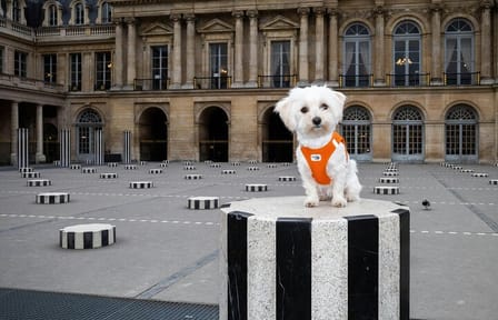 Colonne de Buren Photography Session in Paris
