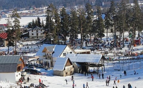Private Day Trip to Bakuriani Ski Resort and Borjomi Park