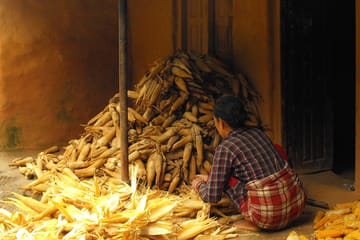 Kakani Village Homestay Hike