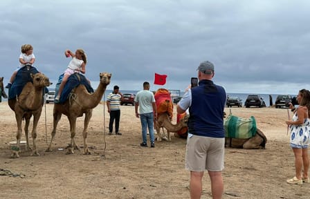 Sightseeing Day Trip from Tangier to Asilah, Morocco